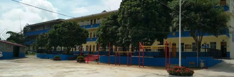 学校全景